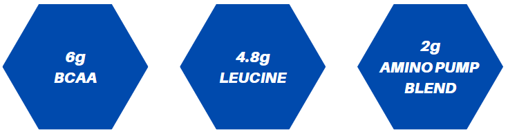 bcaa ingredients